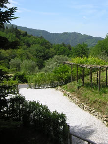 View from bedroom