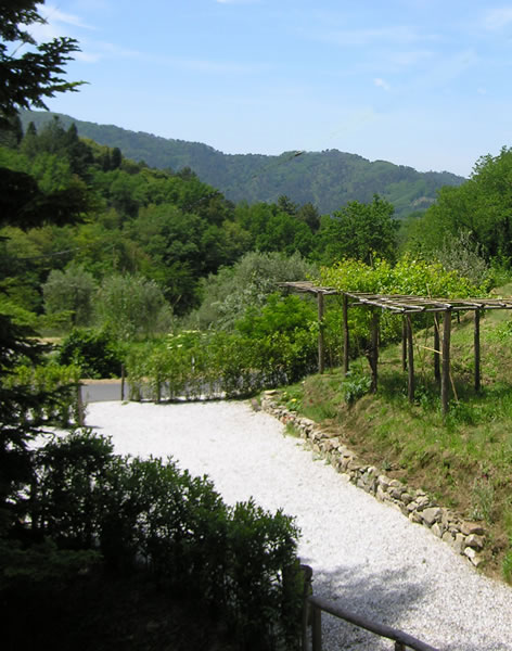 View from bedroom